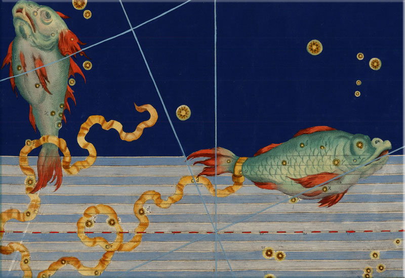 Horoskooppi | Kalat | Viikkohoroskooppi